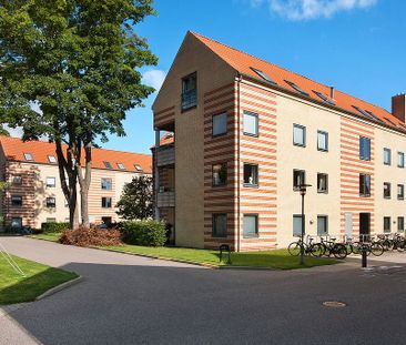 Rørdams Have 12, 1. dør 4 - Foto 3