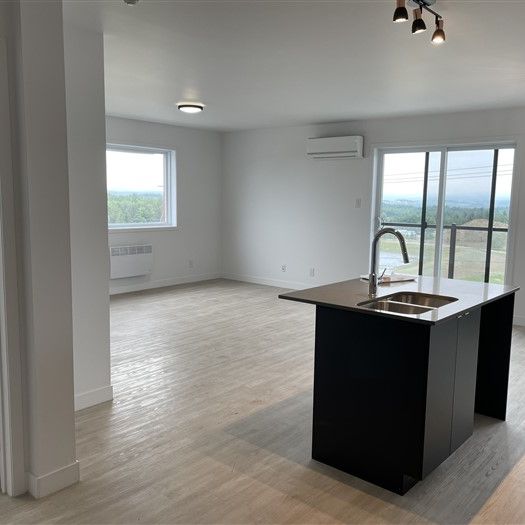 820-304, rue Lamarche, Sherbrooke, J1H 0M9 3½ pour Janvier - Photo 1