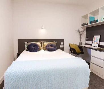 Large Premium Studio - Photo 2