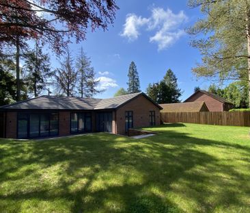 Whitehill Road - Photo 2