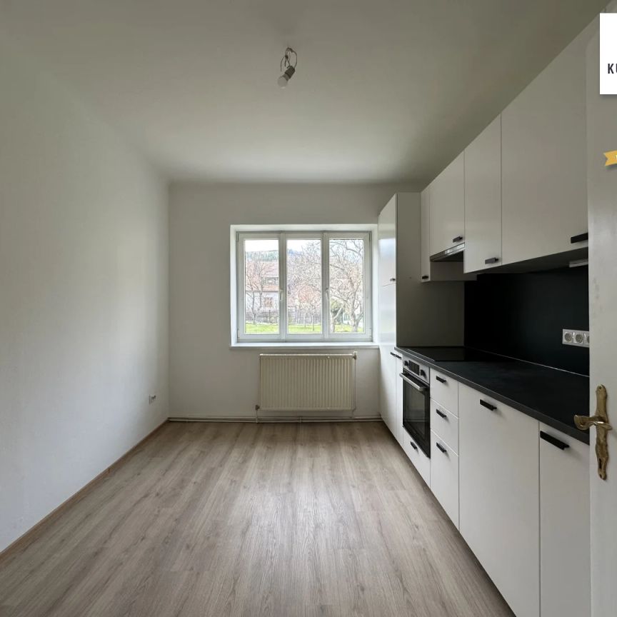 Unbefristetes Miethaus unweit von Krems! - Foto 1