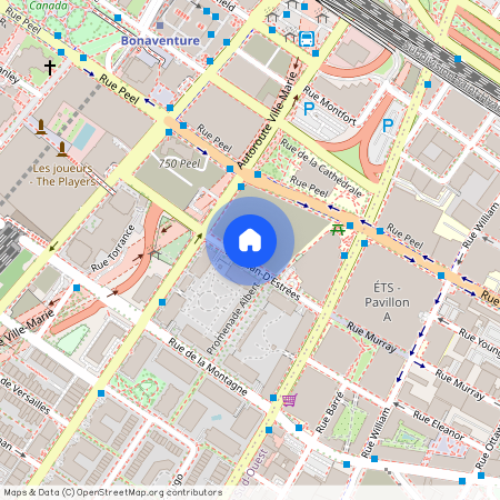 605 Rue Jean-D'Estrées, app.808, H3C 0G3, Montréal