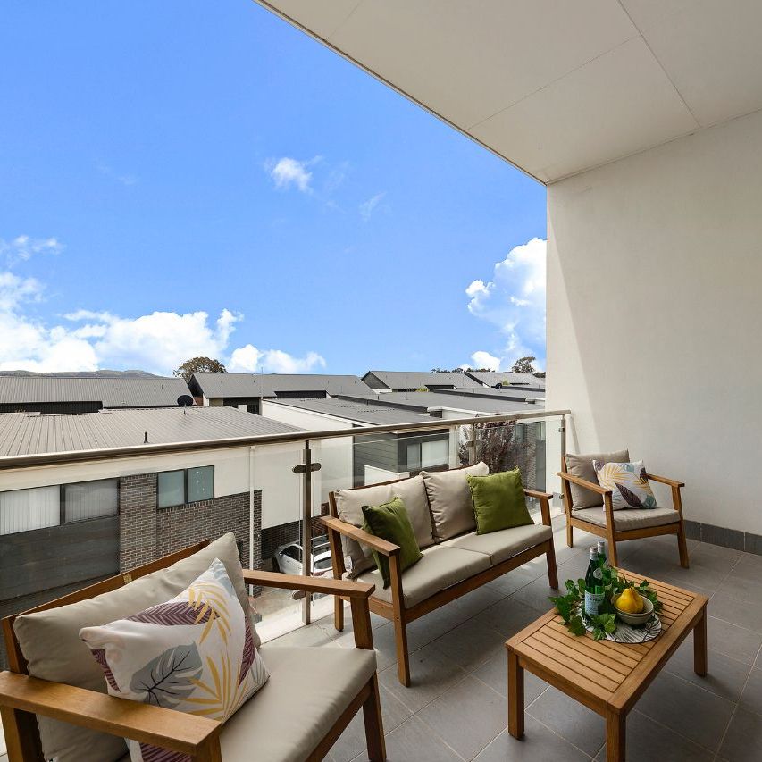 40/2 Rouseabout Street, Lawson ACT 2617 - Townhouse For Rent | Domain - Photo 1