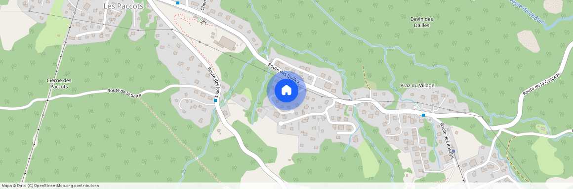 Moille Critsou, 1619 Les Paccots