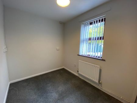 33 Burrenwood Road, Castlewellan, BT31 9DR - Photo 4