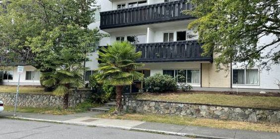 Cozy 1-Bedroom Apartment in Cherry Blossom Court - Photo 3