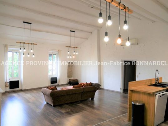 Location Appartement 2 pièces 93m² STE CECILE LES VIGNES 84290 - Photo 1