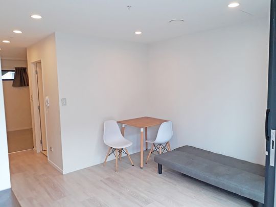 Near New One Bedroom Apartment in Central City - Photo 1