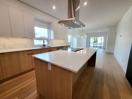 Brand New 1 Bed + Den Condo in Pandosy Village (#202) - Photo 2