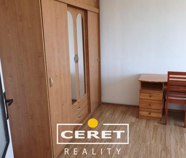 Pronájem bytu 1+1 35 m², Šafaříkova , Žatec - Photo 1