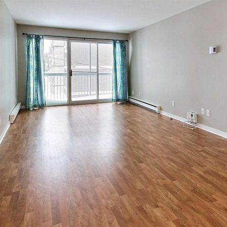 4 1/2 GRAND, lumineux, rénové (LORETTEVILLE) - Photo 3