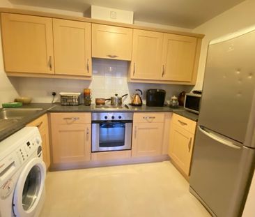 Ovaltine Drive - Photo 4