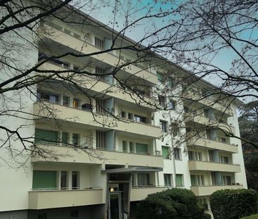 Appartement 3.5 pièces | Chêne-Bourg - Foto 1