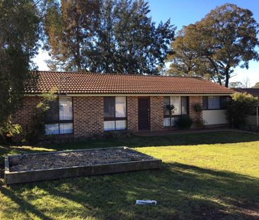 4 bedroom family home + granny flat - Photo 4