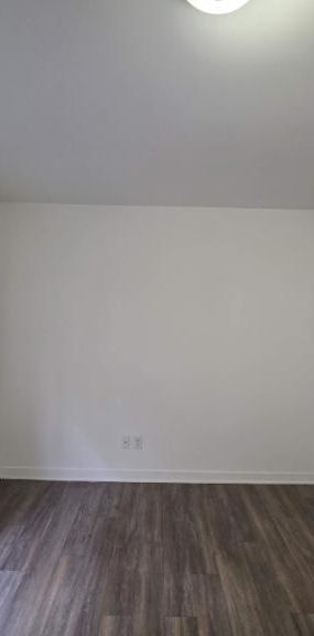 1 CH - 1 SDB - Montréal - $1,095 /mo - Photo 1