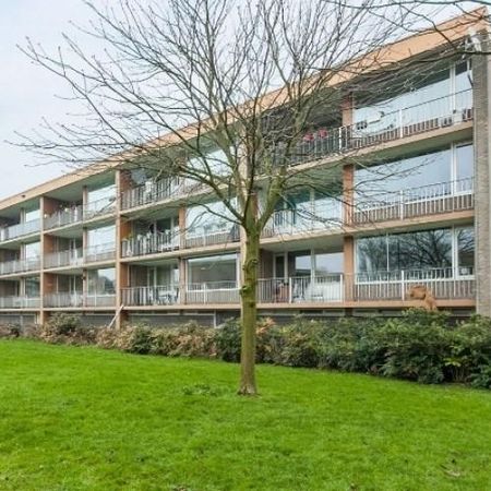 Meijhorst, 6537 Nijmegen, Nederland - Photo 3
