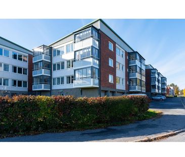 Stenkilsgatan, Skellefteå - Photo 2