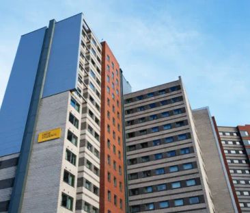 Large Studio - Photo 6