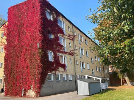 Norra Götgatan 12 - Photo 5