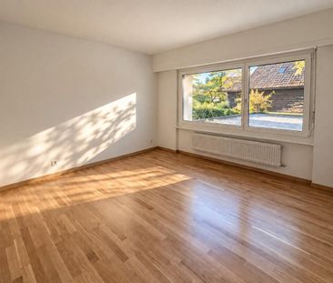 NICE 4.5 ROOM APARTMENT NEAR THE HEART OF PULLY - Photo 2