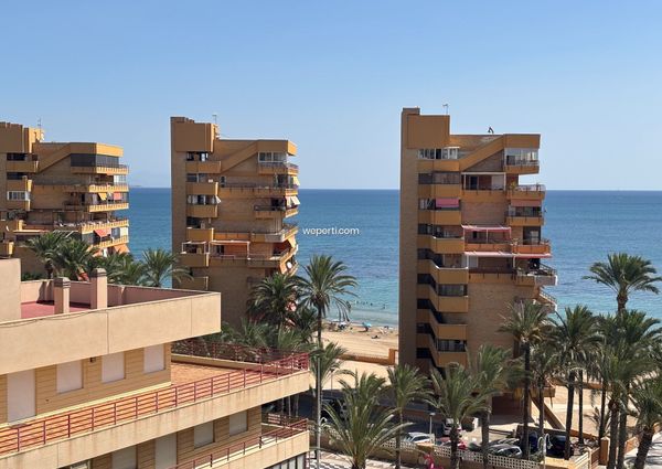 Apartment in Arenales del Sol, for rent