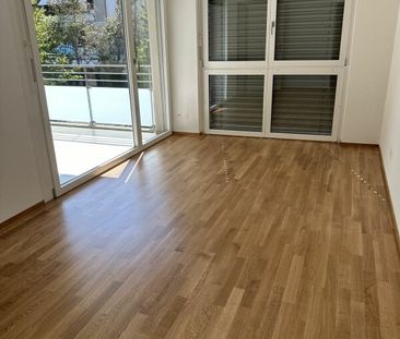 Weiherfeld plus Rheinfelden, 3.5-Zimmer im Erdgeschoss - Foto 4