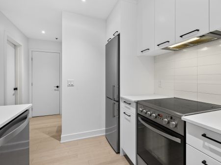 315 Rue Richmond, Montréal (Le Sud-Ouest), QC H3J - Photo 3