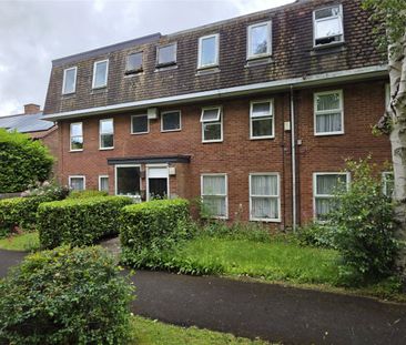 Lucknow Road, Nottingham, NG3 - Photo 3