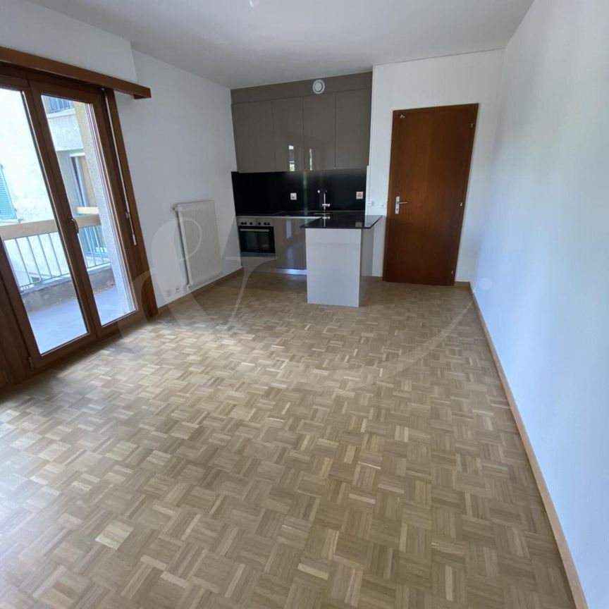 Route D'hermance 139, nice renovated 2-room apartment - Foto 1