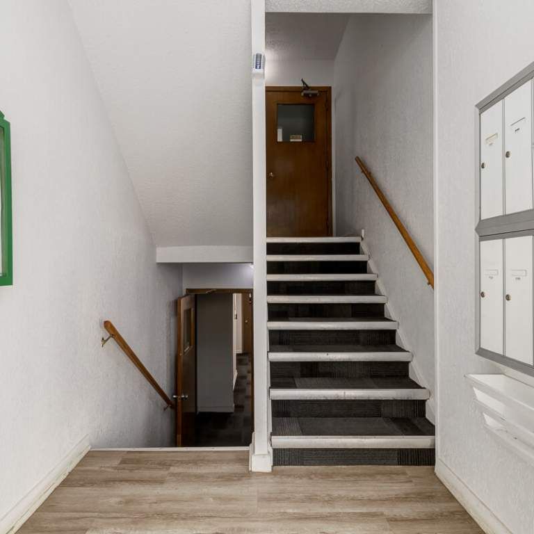 Renovated Suite - 1 Bedroom - Photo 1