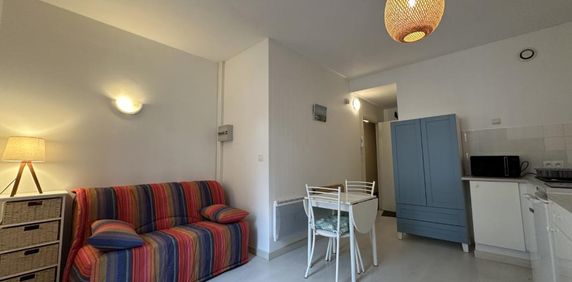 Location Appartement 1 pièce Meublé 19m² BLOIS 41000 - Photo 2