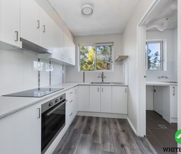 2/30 Trinculo Place, Queanbeyan NSW 2620 - Apartment For Rent | Domain - Photo 5