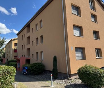 Sanierte Wohnung an ruhiger Lage im Grünen - Foto 1