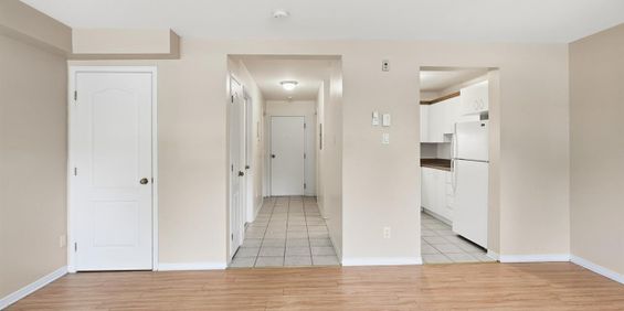 545 Rue De Pointe Gatineau (Gatineau) Super Appartement 3 1/2, Dans Un Quartier Résidentiel Tranquille. - Photo 3
