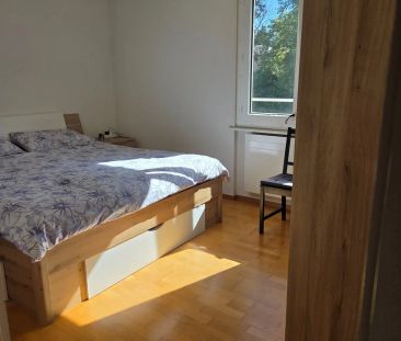 2.5 Zimmer, 45 m² - Photo 2