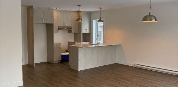 Grand 4-1/2 disponible maintenant - Photo 2