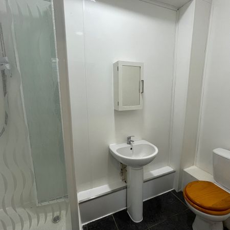 Studio Flat, Southampton, SO14 - Photo 4