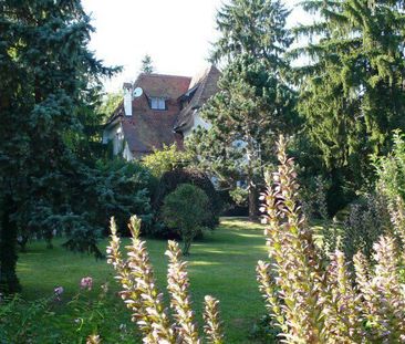 Very beautiful charming property in Versoix - Foto 6