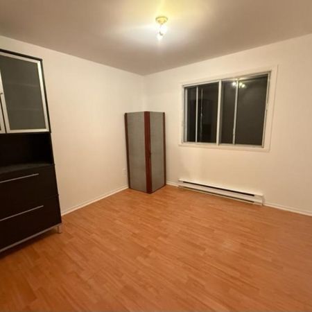 BEAU GRAND 4.5 LIBRE MAINTENANT RÉNOVÉ PEINTURÉ MONTREAL NORD - Photo 3