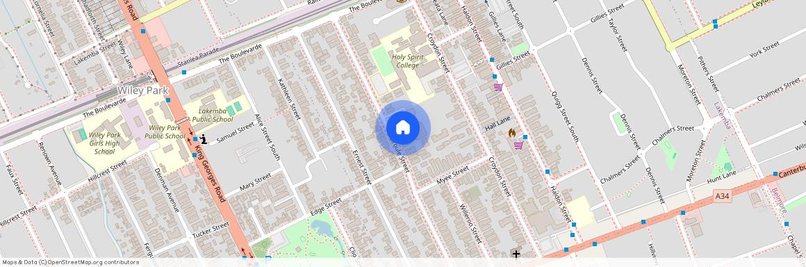 82 Sproule Street, NSW 2195, Lakemba