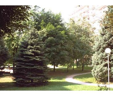 Location Appartement 1 pièce 34m² GRENOBLE 38100 - Photo 2