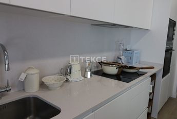 Badalona, La Morera, Barcelona, Catalonia 08918