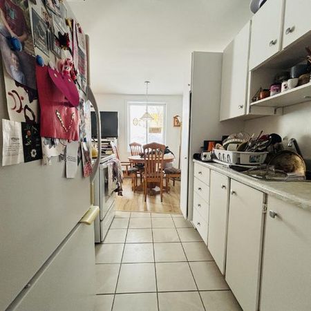 Appartement 4 ½ à louer Lévis juillet 2026 - Photo 4