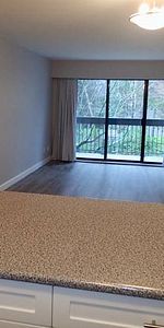 One Bedroom Suite in English Bay - October 1st - Photo 3