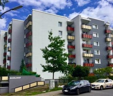 Etwas besonderes: individuelle 1-Zimmer-Single-Wohnung - Foto 5