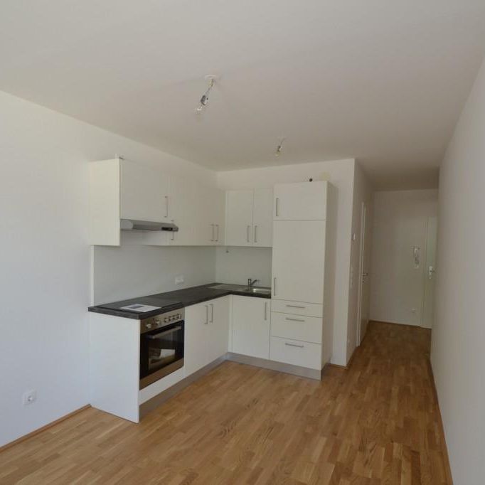 Zentrum/Annenviertel – 41 m² – 2 Zimmer – tolle Singlewohnung – 6 m² Loggia – ab sofort - Foto 1