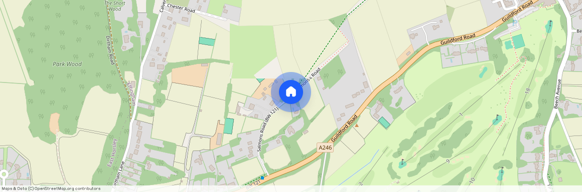 SALMONS ROAD, EFFINGHAM, KT24