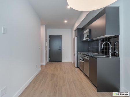1200, Ste-Élisabeth, Ville-Marie (Centre-Ville et Vieux-Montréal) à louer - Photo 4