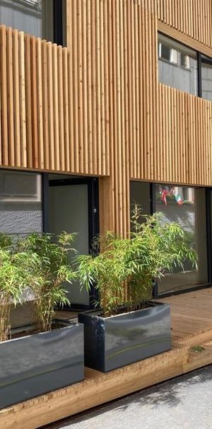 1 Zimmer, 25 m², EG - Photo 1