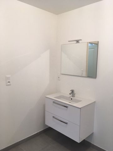 Location Appartement 1 pièce 35m² SELESTAT 67600 - Photo 4